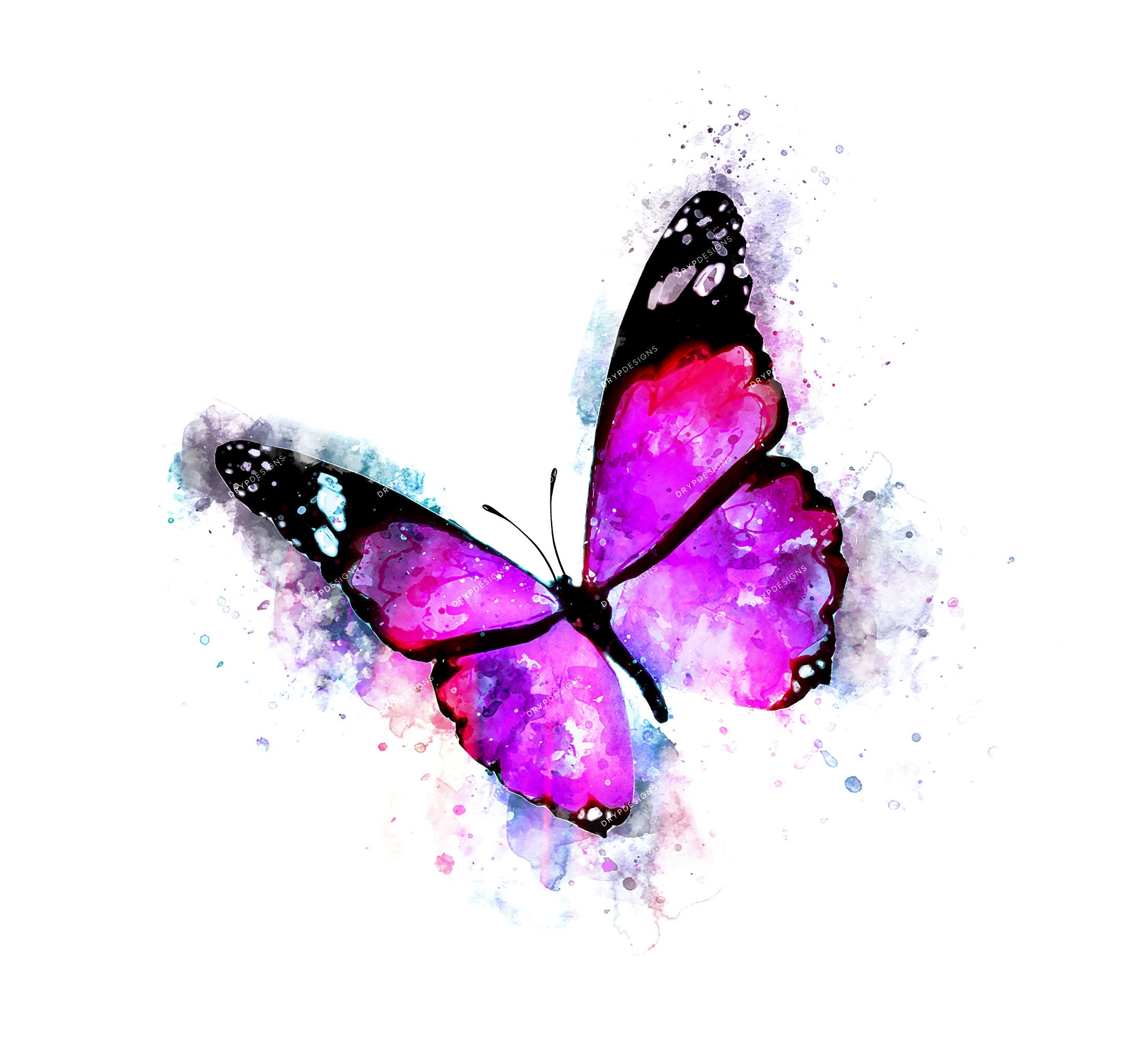 Cadre Floral Aquarelle Avec Papillon Violet