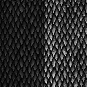 Black Dragon Scales Seamless Digital Paper Background Texture - Matte Black + White Wallpaper PNG - Instant Digital Download Files