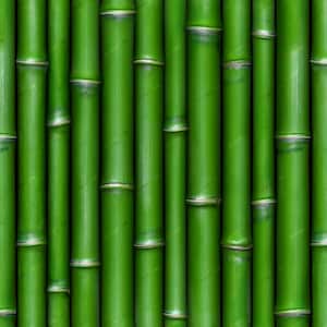 Può includere: Primo piano di un muro fatto di steli di bambù verdi. Gli steli sono disposti verticalmente e sono spaziati uniformemente.