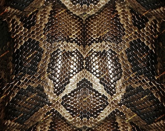Brown Snakeskin Seamless Digital Paper Background Texture - Python Snakeskin Background PNG - Digital Download Files