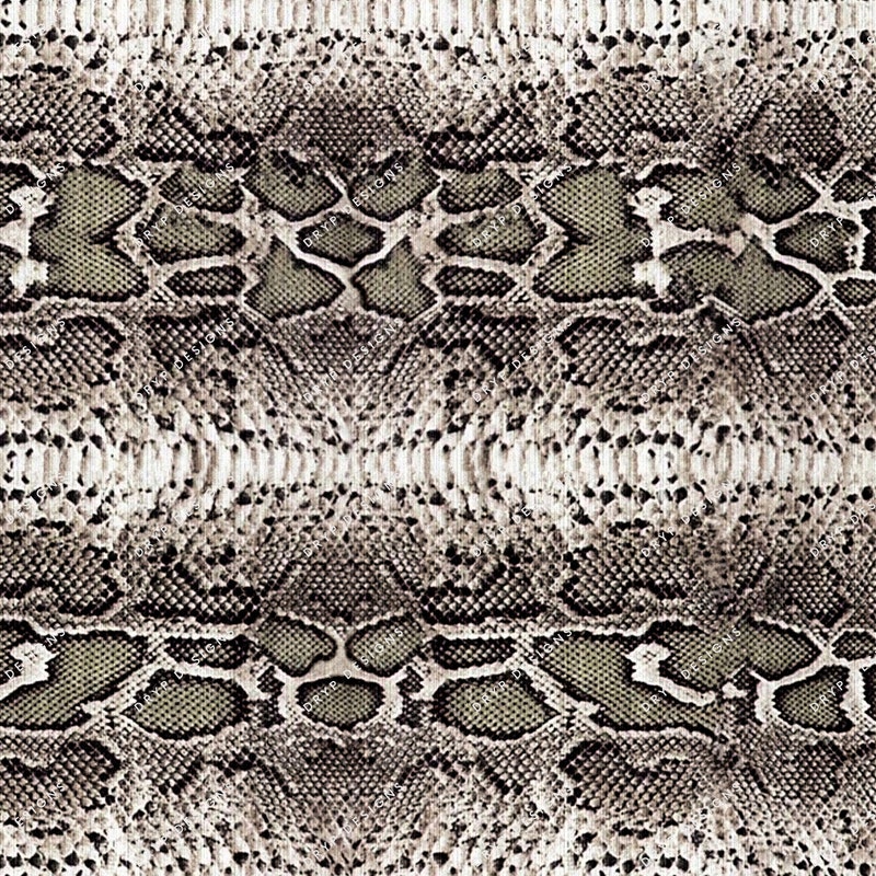 Snake Border Art - Etsy