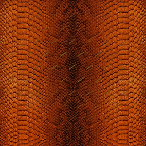 May include: A close-up of a brown snakeskin texture. The scales are arranged in a repeating pattern, creating a visually interesting surface.