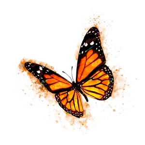 Watercolor Monarch Butterfly PNG Graphic - Digital Download File