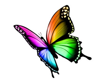 Vibrant Rainbow Butterfly PNG - Digital Download File - Transparent PNG