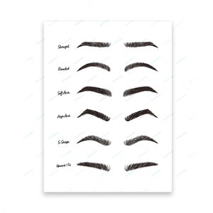 May include: A chart showing six different eyebrow shapes: straight, rounded, soft arch, high arch, S-shape, and upward/free.