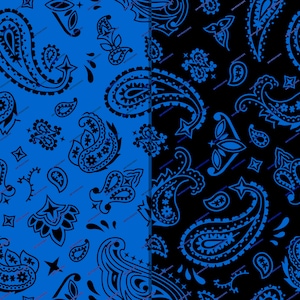 May include: A split-screen image featuring a paisley pattern. The left side has a vibrant blue background with black paisley designs. The right side has a black background with blue paisley designs. The paisley patterns include teardrops, stars, and floral elements.
