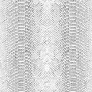 Textura de fundo sem costura de pele de cobra branca - papel digital Python com impressão de cobra PNG - arquivos de download digital