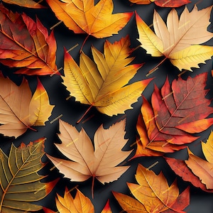 Op de afbeelding: Een verzameling herfstbladeren in verschillende tinten rood, oranje en geel. De bladeren zijn willekeurig gerangschikt op een donkere achtergrond.