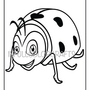 Ladybug Coloring Page