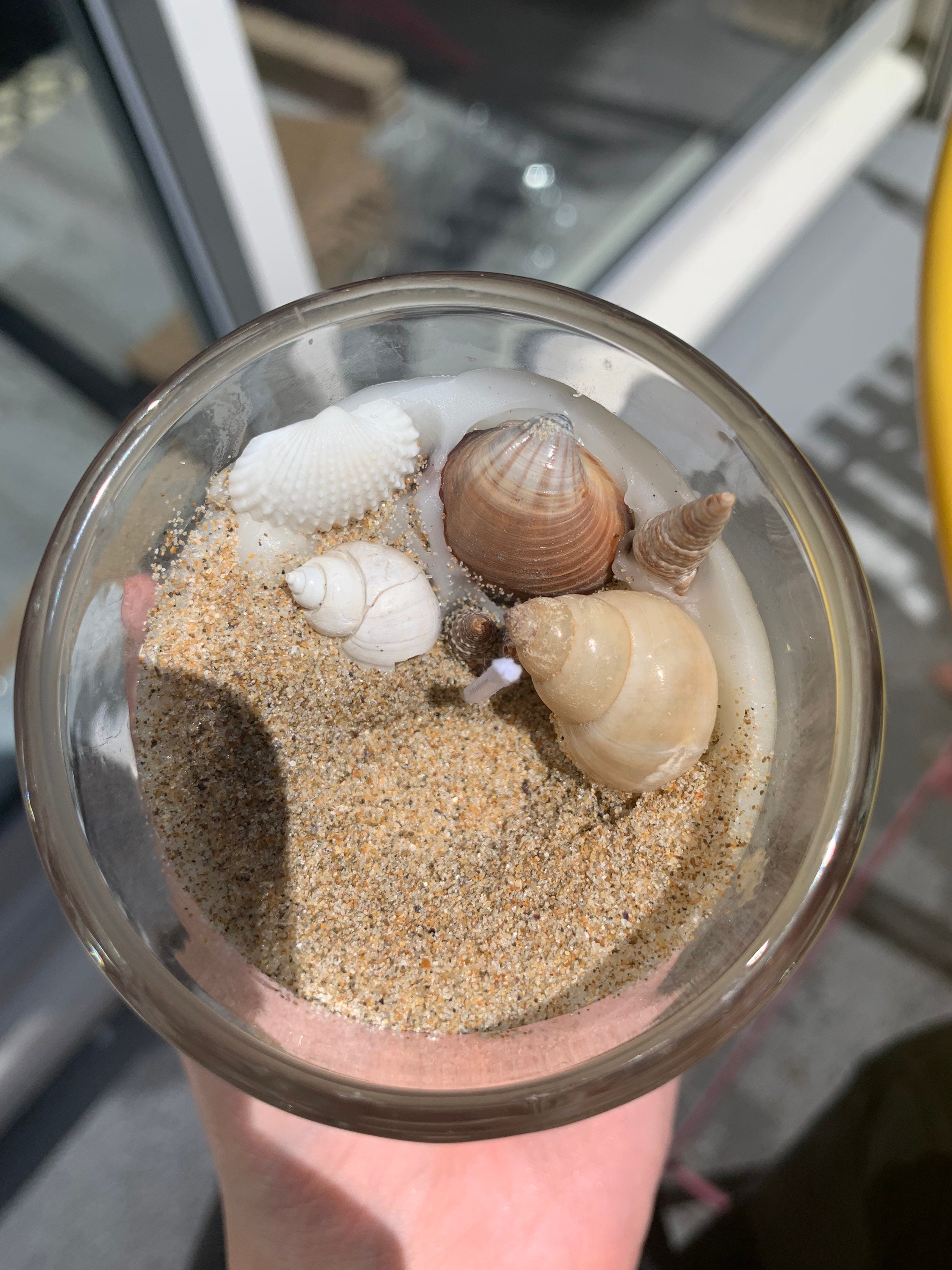 Bougies Coquillage Good Vibes