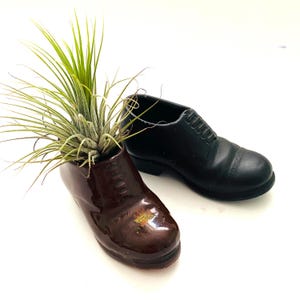 May include: A brown ceramic shoe planter with a green plant inside, next to a black ceramic shoe. The brown shoe has a glossy finish and is shaped like a classic dress shoe. The black shoe is also a dress shoe.