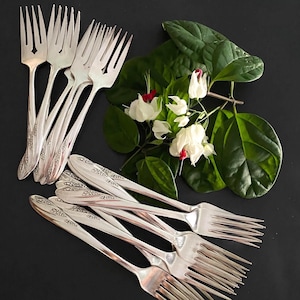 Vintage Carlton Silver Plate Flatware 38 Pc Set: Valerie Pattern 1950’s, Service for 7