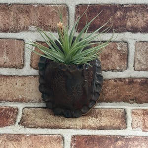 May include: A dark brown ceramic wall pocket planter with a scalloped edge and embossed floral patterns. The planter holds a spiky green air plant with a small, light-colored bloom at the center, creating a contrast against the dark clay surface.