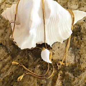 May include: A gold-colored necklace with a white seashell pendant and a matching seashell charm. The necklace is displayed on a large white seashell, set against a speckled brown surface.