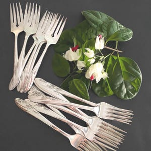 Carlton Silver Plate - Etsy