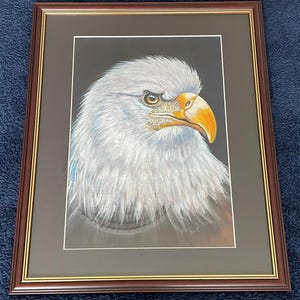 Könnte beinhalten: Gerahmtes Kunstwerk mit einer detaillierten Malerei eines Weißkopfseeadlerkopfes. Der Adler hat weiße Federn, einen gelben Schnabel und einen fokussierten Blick. Das Kunstwerk ist vor einem dunklen Hintergrund in einem braunen Holzrahmen.