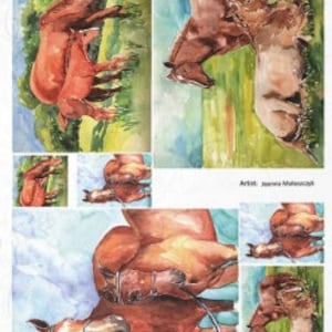 ITD Collection | Horses Rice Paper | A4 Rice Paper | Horse | Artist Joanna Małoszczyk | Decoupage Paper | ITD R1219