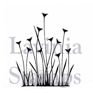 Lavinia Stamps | Fairy Buttercups Cling Stamp | Silhouette Stamp | LAV375