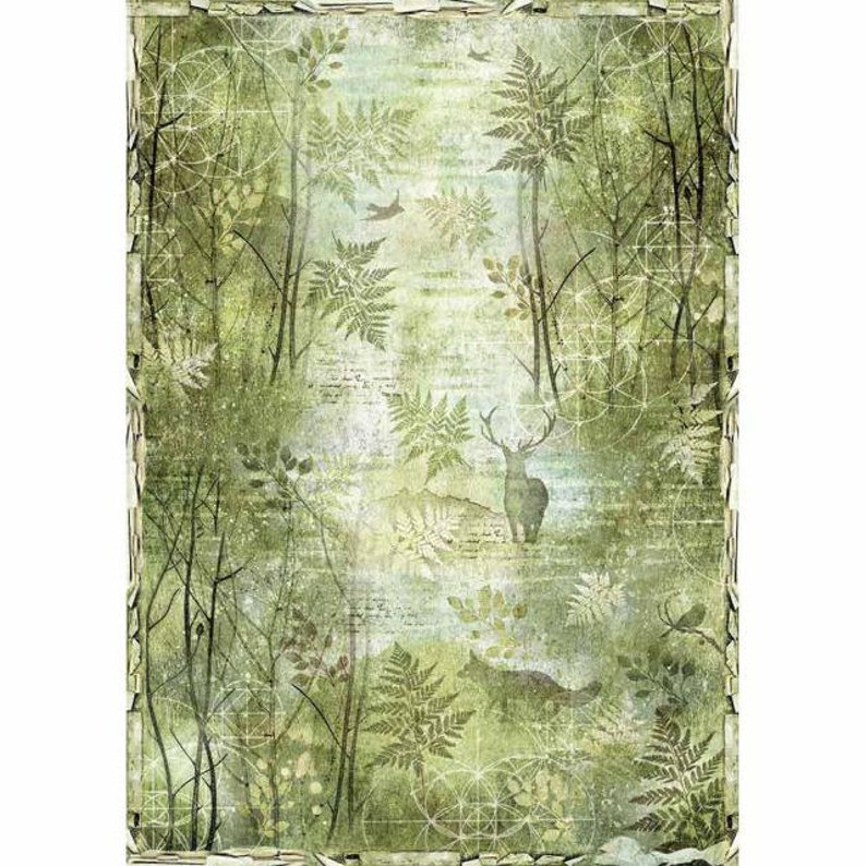 Stamperia Rice Paper Green Forest A3 Rice Paper Etsy