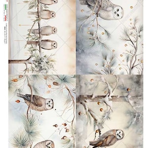 Paper Designs Rice Paper | Owls in Winter Rice Paper | A4 Rice Paper | Natural Rice Paper | Decoupage Paper | 12.5&quot; x 8.6&quot; | Animals 0213