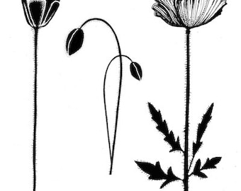 Lavinia Stamps | Group Poppies Set Stamp | Polymer Stamps | Fairy Orchid Stamp | Greeting Card | Fairies | LAV112