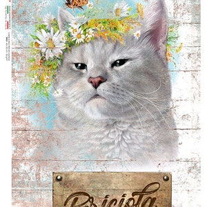 Paper Designs Rice Paper | Cat Rice Paper | A4 Rice Paper | Decoupage Paper | 12.5&quot; x 8.6&quot; | Animals 0163