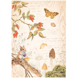Stamperia Rice Paper | Woodland Collection | A4 Rice Paper | Decoupage Rice Paper | Rice Paper | 11.5 x 8.25 inches | Butterfly | DFSA4817