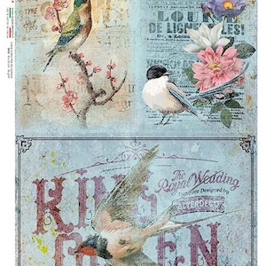 Paper Designs Rice Paper | Bird Paper | A4 Rice Paper | Natural Rice Paper | Decoupage Paper | 12.5&quot;x 8.6&quot; | Birds | Animals 0140