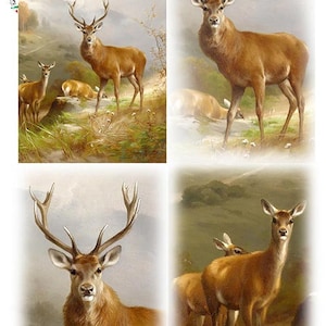 May include: A collage of four images featuring red deer in a woodland setting. The deer are depicted in various poses, including standing, walking, and lying down. The images are painted in a realistic style with a focus on detail.