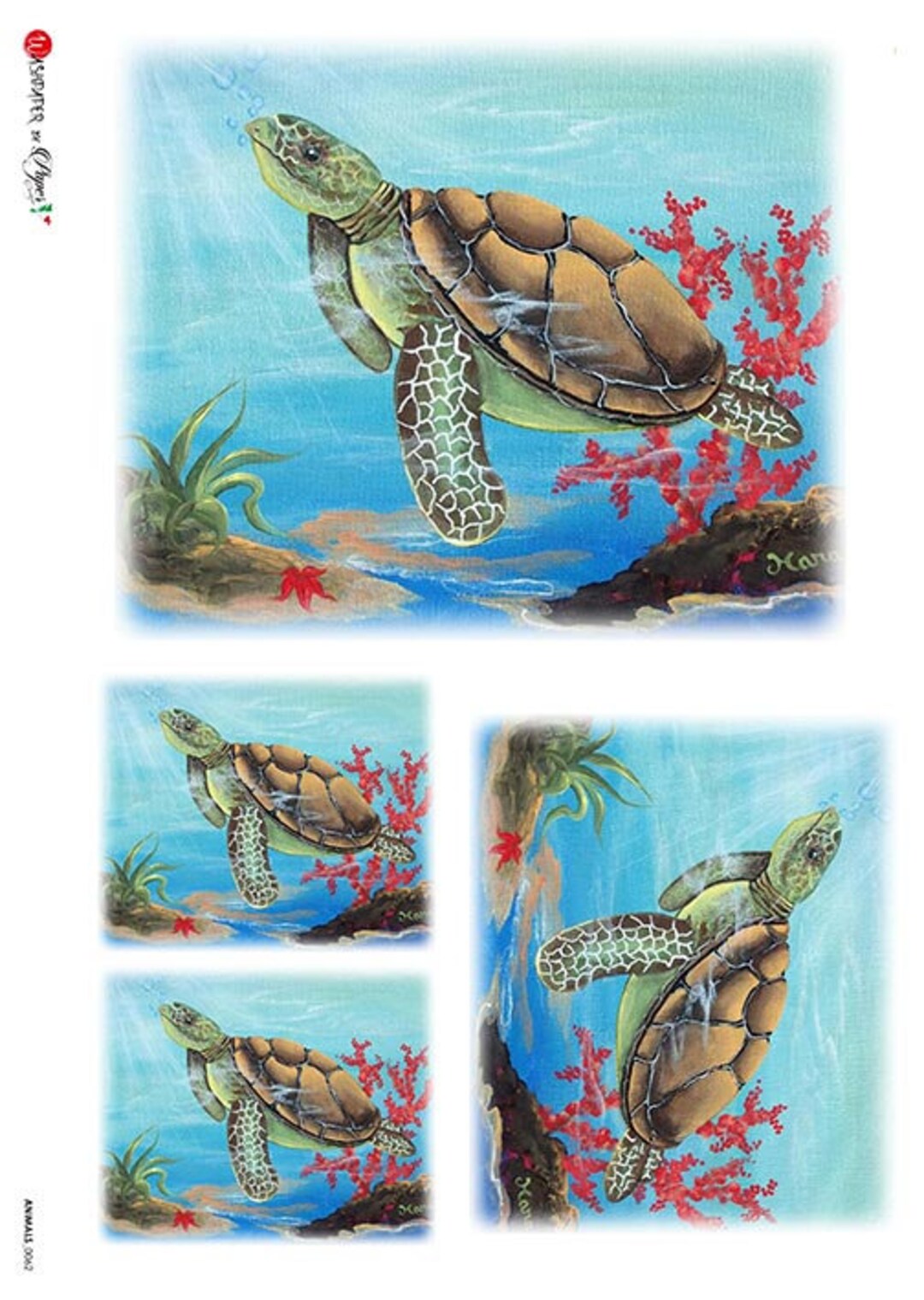 Paper Designs Rice Paper Turtles Rice Paper A4 Rice Paper Natural Paper Decoupage Paper 12.5 X 8