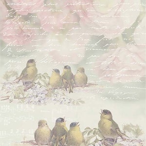 ITD Collection | Birds and Flowers | A4 Rice Paper | Decoupage Paper | ITD Rice R0568