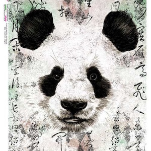 Paper Designs Rice Paper | Panda Bear Rice Paper | A4 Rice Paper | Natural Rice Paper | Decoupage Paper | 12.5&quot; x 8.6&quot; | Animals 0189