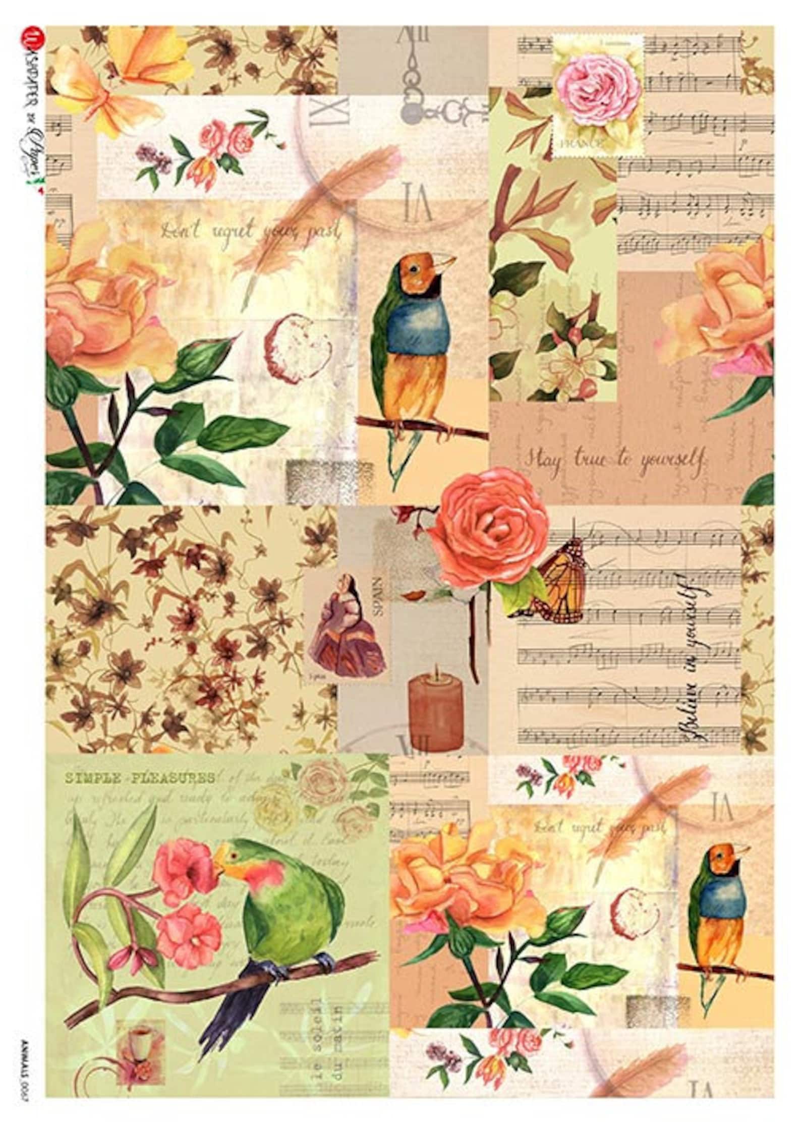 Paper Designs Rice Paper | Birds Rice Paper | A4 Rice Paper | Natural ...