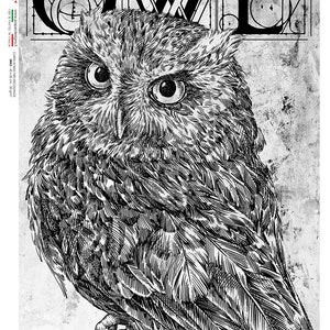 Paper Designs Rice Paper | Owls Rice Paper | A4 Rice Paper | Natural Paper | Decoupage Paper | 12.5&quot;x 8 .6&quot; | Owl | Animals 0152