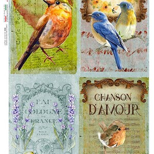 Paper Designs Rice Paper | Birds Rice Paper | A4 Rice Paper | Natural Rice Paper | Decoupage Paper | 12.5&quot;x 8.6&quot; | Animals 0138
