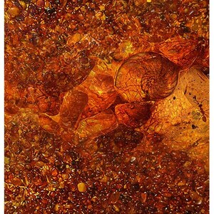 ITD Collection | Amber Formation | A4 Rice Paper | Decoupage Paper | ITD R1612