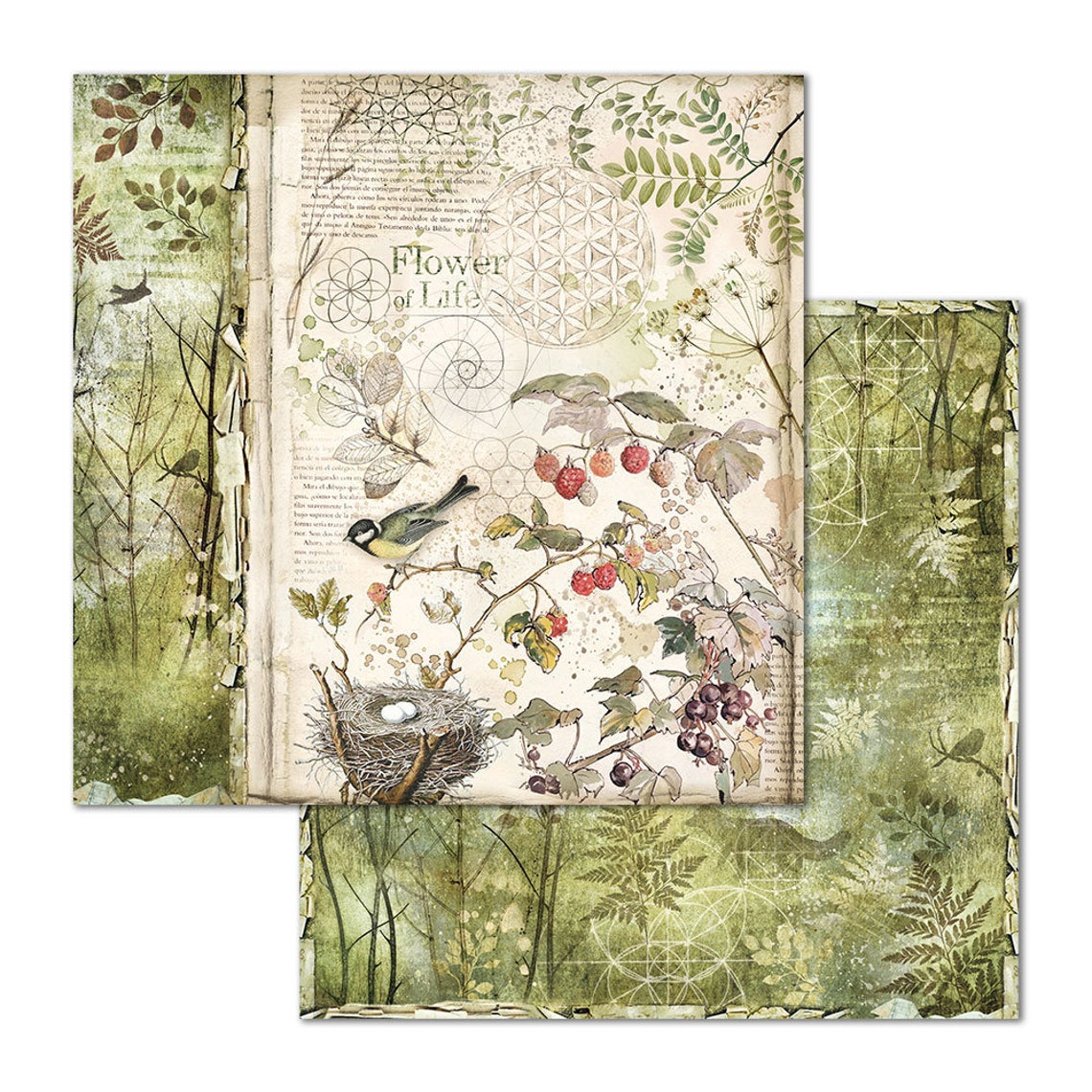 Stamperia Forest Collection 8x8 Scrapbooking Paper Double Etsy