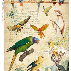 Paper Designs Rice Paper | Birds Rice Paper | A4 Rice Paper | Natural Rice Paper | Decoupage Paper | 12.5&quot;x 8.6&quot; | Animals 0131