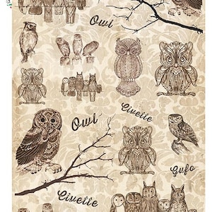 Paper Designs Rice Paper | Owls Rice Paper | A4 Rice Paper | Natural Paper | Decoupage Paper | 12.5&quot; x 8.6&quot; | Owl | Animals 0061