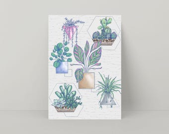 House Plants Greeting Card: Succulents, Cactus, Trailing Plants