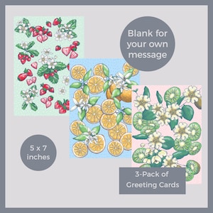 Tarjetas de felicitación de frutas de verano con naranjas, fresas y kiwis. En blanco para su propio mensaje. Paquete de 3. Ilustración de comida dibujada a mano.