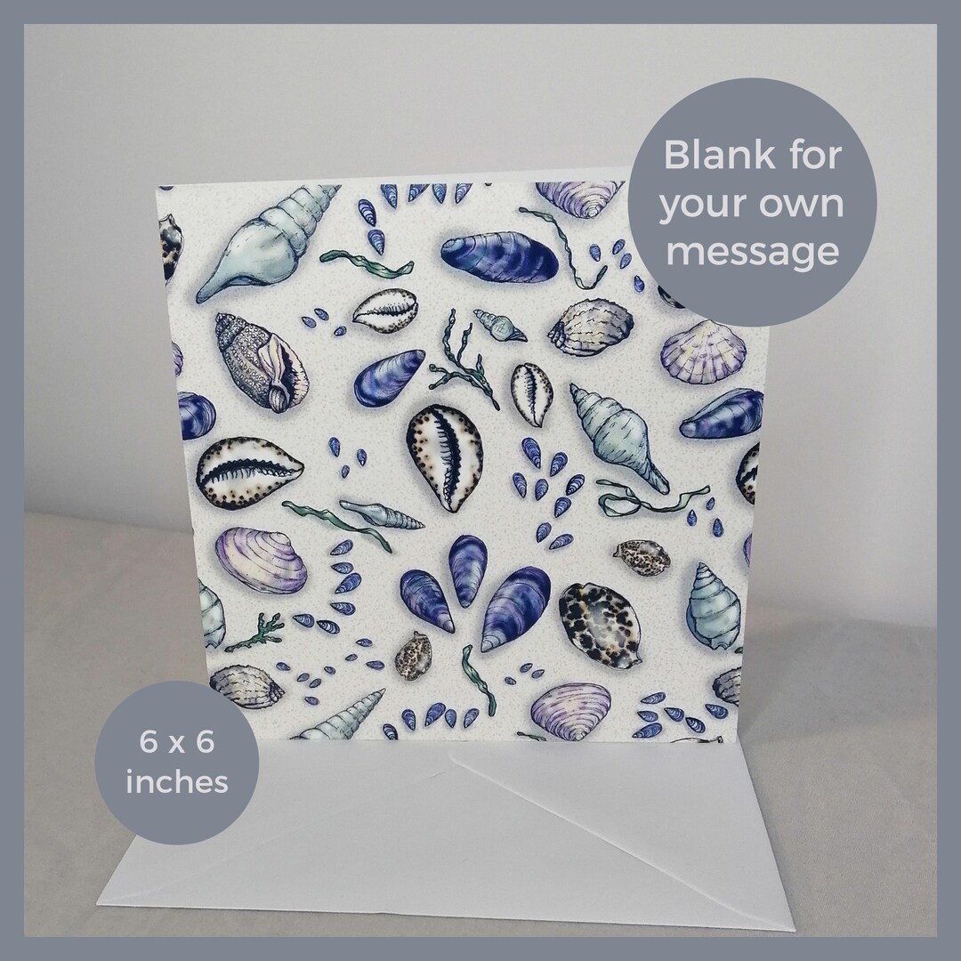Sea Shells Greeting Card With Hand-drawn Cowrie, Muscle, Conch and ...