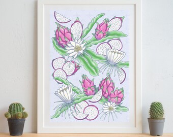 Dragon Fruit Art Print: Hand-Drawn Pitaya Botanical Illustration