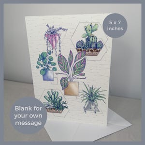 Biglietto di auguri con piante da appartamento ben fatte con preghiera, denaro, ragno e piante rampicanti e terrari esagonali contenenti cactus e piante grasse