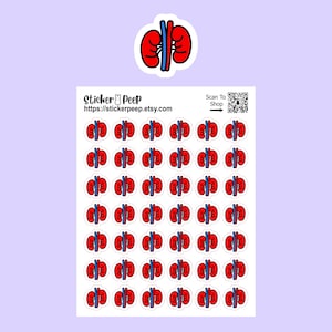 Kidney Icon Planner Stickers: Calendar Agenda Tracker