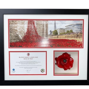 May include: Framed artwork of the 'Blood Swept Lands and Seas of Red' poppy installation at the Tower of London. Includes a certificate and a 3D poppy. The frame is black with white mounts.