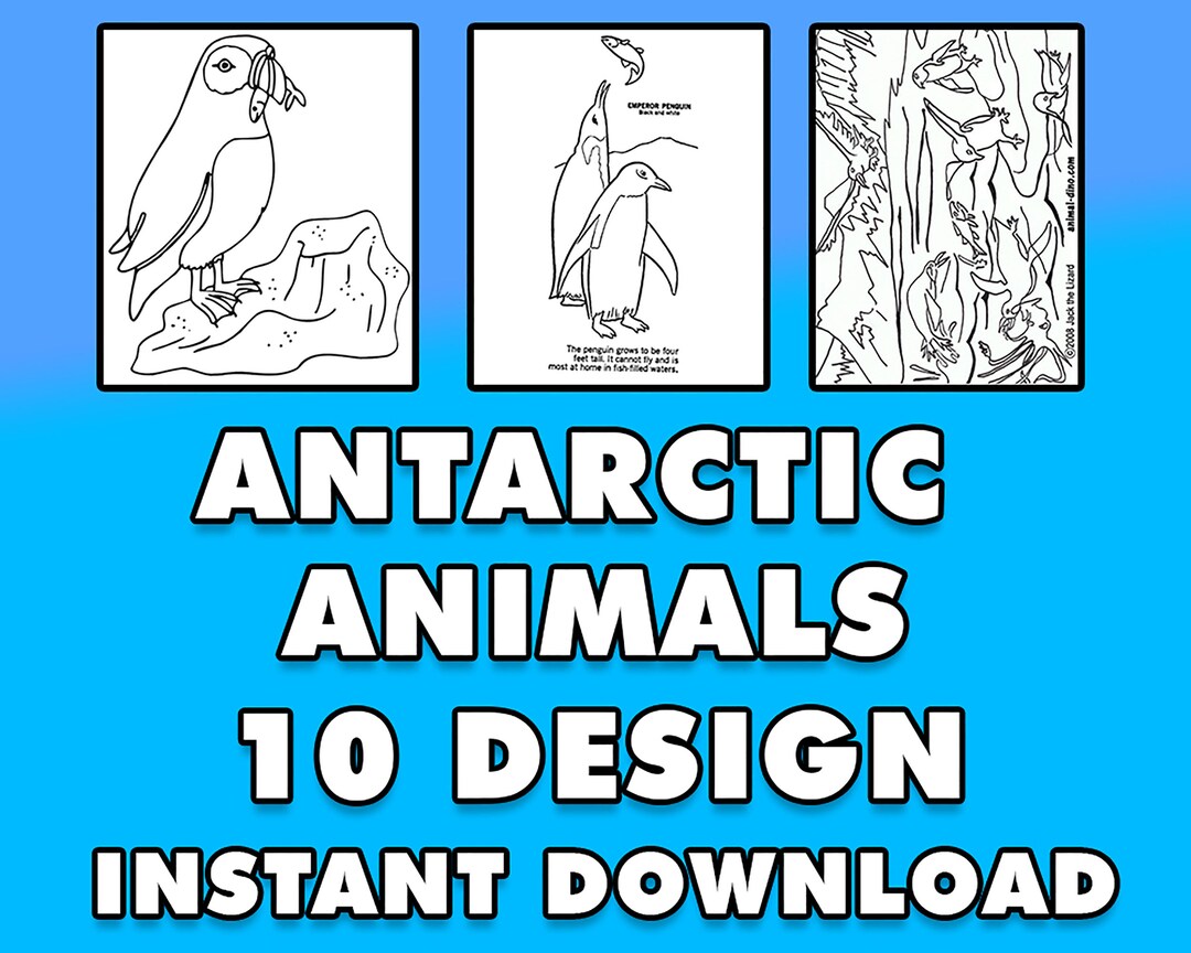 Antarctic Animals Coloring Pages 10 Design Etsy