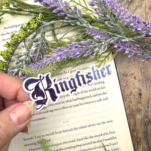 Kindle stickers. Quicksilver inspired stickers. Romantasy. Fantasy. Stickers. Kingfisher. Little osha. Gift ideas. Solace. Gifts for readers Kingfisher