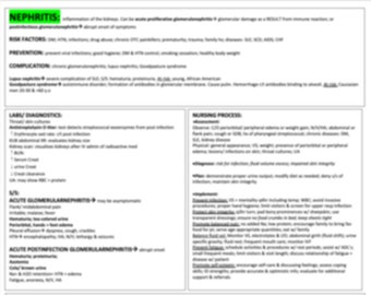 Nephritis Study Template