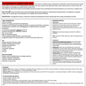 May include: A medical chart outlining the causes, risk factors, prevention, diagnosis, treatment, and nursing process for pulmonary embolism (PE).